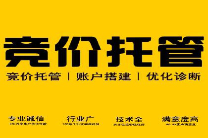 案例研究：百度推广托管助力电商品牌快速崛起